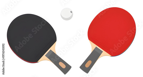 pingpongart, tabletennisart, racketart, paddleart, batart, ballart, sportart, gameart, playart, indoorart, competitionart, trainingart, matchart, equipmentart, gearart, athleteart, fitnessart, hobbyar