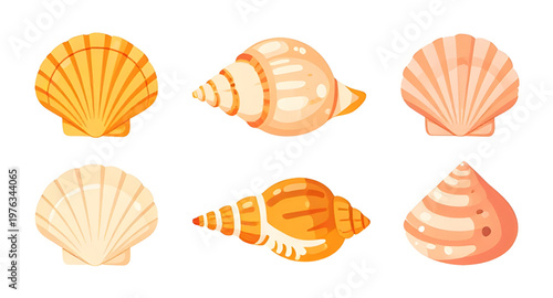 seashell, shells, shell, conch, spiral, clam, scallop, marine, ocean, sea, beach, coastal, tropical, underwater, aquatic, nature, wildlife, colorful, vibrant, bright, pastel, decorative, ornament, pat