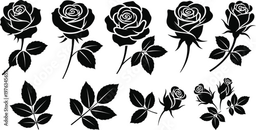 Rose blossoms in different blooming stages, along with separate leaf elements. 