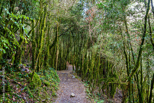 Walking through the Anisclo Canyon in Spain. One of the most spectacular landscapes in Aragon, Pyrenees in Spain
