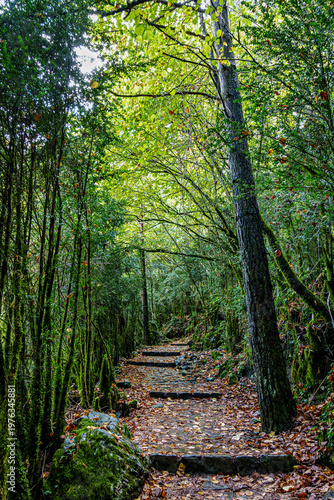 Walking through the Anisclo Canyon in Spain. One of the most spectacular landscapes in Aragon, Pyrenees in Spain