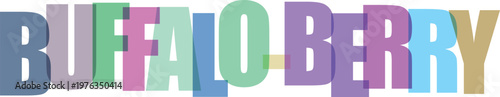 Buffalo Berry Logo Text white background