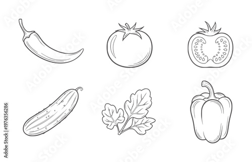 Hand drawn of assorted vegetables including chili pepper tomato cucumber bell pepper and greens