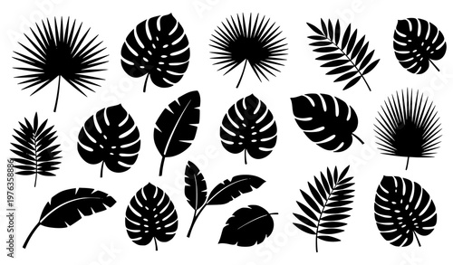 Black jungle leaf vector set tropical rainforest palm botanical silhouettes