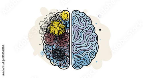 Illustration of human brain hemispheres.
