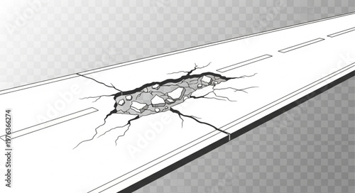 cockroach on white background