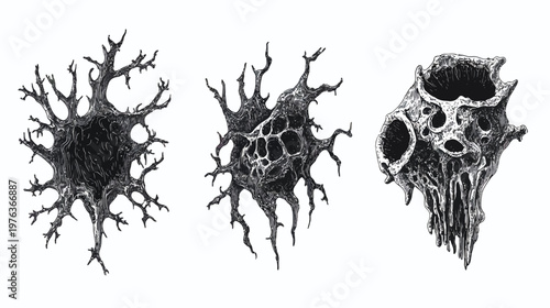 Three abstract, monochrome illustrations on white background resembling organic forms and skull-like structures