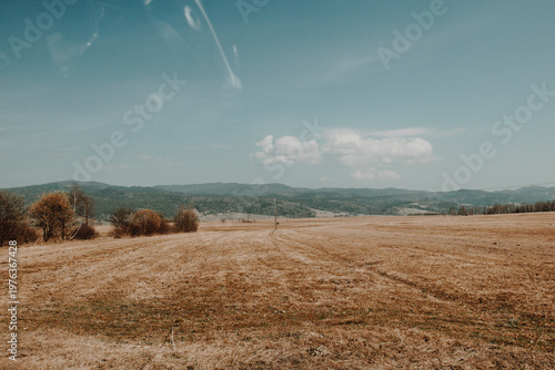 beautiful view of lush terraced rice fields, clear blue sky with natural light and mountain backdrop. High quality photo