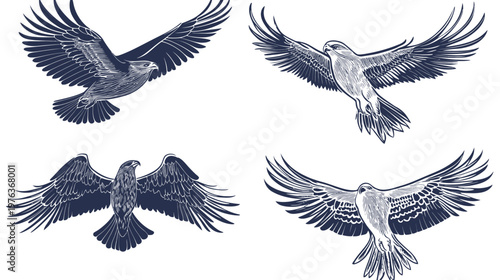 Four graphic depictions of majestic birds of prey in various soaring poses