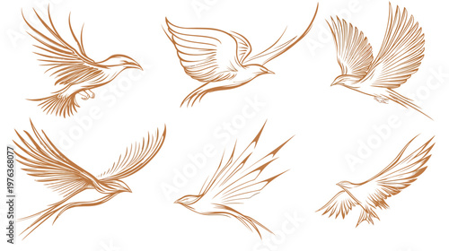 Six stylized drawings of birds in flight. Brown linework on white background