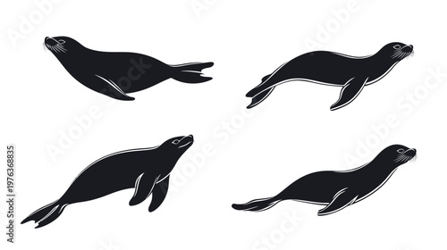 Silhouetted illustration showing four seals in various swimming poses against a white background