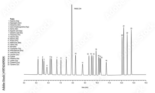 Chromatogram of amino acids, arginine, asparagine, glutamine, hydroxyproline