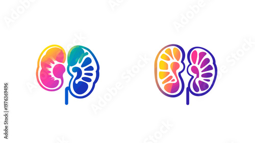 Two colorful abstract illustrations of kidneys. One is a cool palette, the other is warm