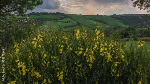 toscana, vista di prati verdi e cielo colorato