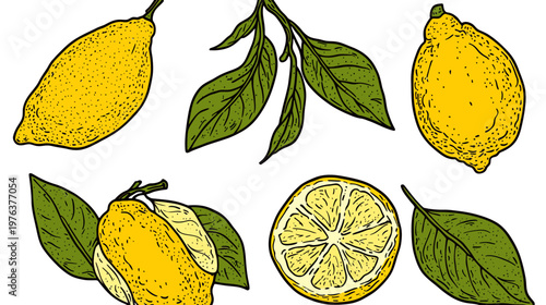 A hand-drawn illustration with vibrant yellow lemons, green leaves, and a lemon slice