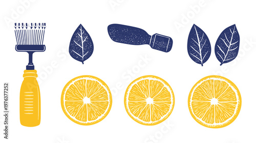 A collection of illustrations including brush, leaves, lemons and a shaving tool