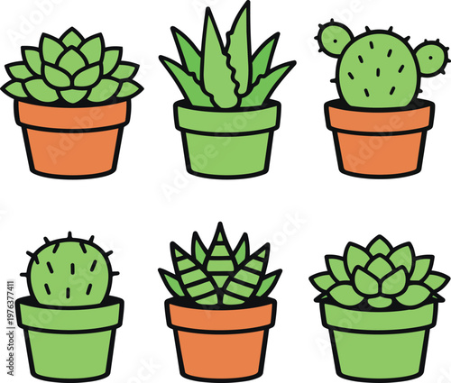 Vector succulent and cactus collection in flower pots, flat line art icons set