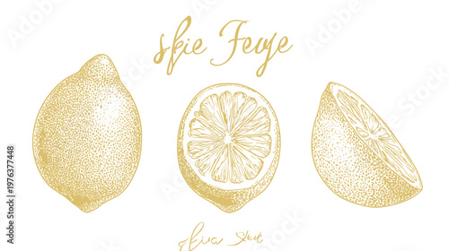 A golden botanical illustration of citrus fruits, whole, sliced, and a wedge, with scripted text