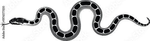 Black and white snake vector illustration, detailed crawling reptile silhouette, isolated on white background, wild animal graphic design tattoo element
