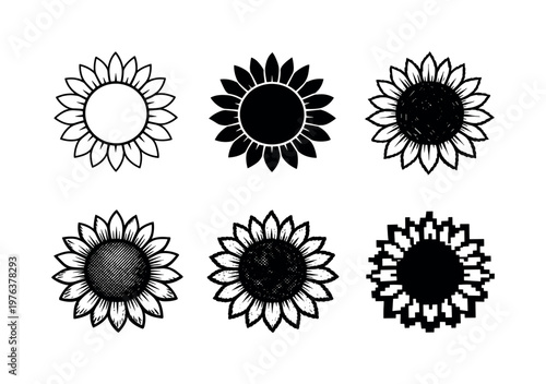 Sunflower head with large circular center and radiating petals, associated with summer, warmth, and agriculture | Create ONE