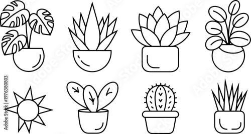 Houseplant outline icons collection, potted indoor plants including monstera, cactus and succulents isolated on white background simple line botanical illustration set