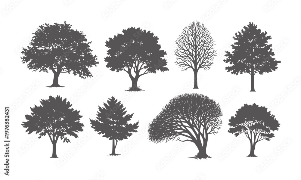 Fototapeta premium Collection of eight dark grey tree silhouettes white trees nature