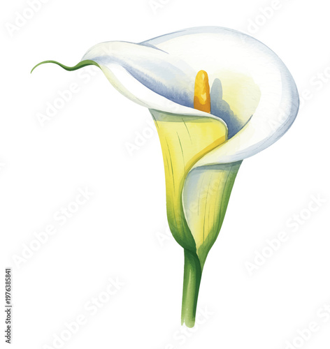 Dreamy calla lily bouquet with flowing leaves in soft pastel watercolor.
