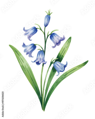 Soft blue bell flowers with slender stems in gentle hand-painted watercolor.
