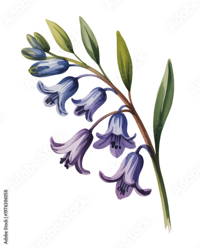 Soft blue bell flowers with slender stems in gentle hand-painted watercolor.
