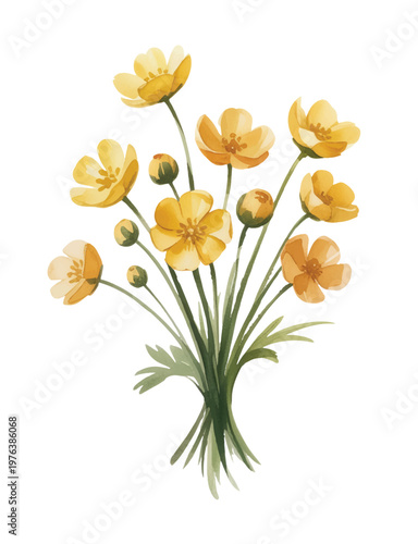 Warm yellow buttercup flowers in a soft hand-painted watercolor bouquet.