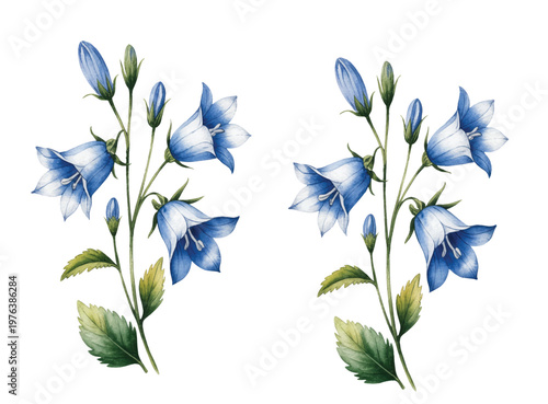 Delicate bell-shaped blossoms in calming blue tones with watercolor texture.