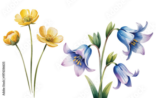 Soft watercolor floral set with blue bell flowers and elegant calla lilies.