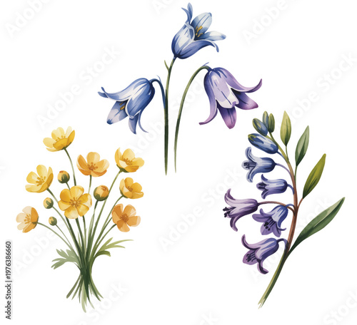 Soft watercolor floral set with blue bell flowers and elegant calla lilies.