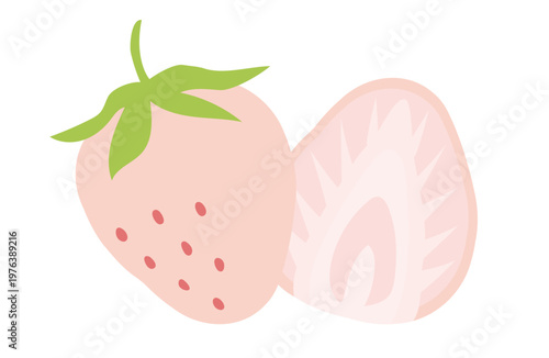 シンプルでかわいい白いイチゴの装飾イラスト　スライス白いちご　断面図