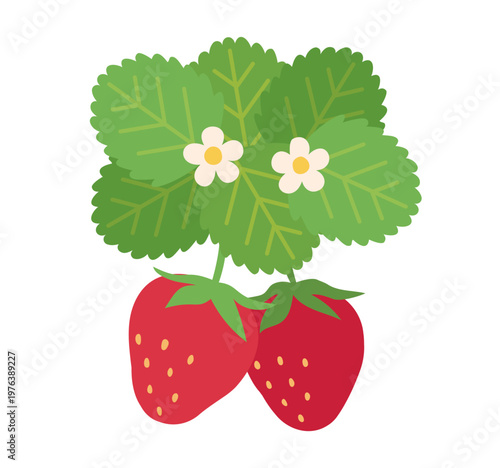 シンプルでかわいいイチゴのイラスト　花と葉っぱと苺　いちご狩り