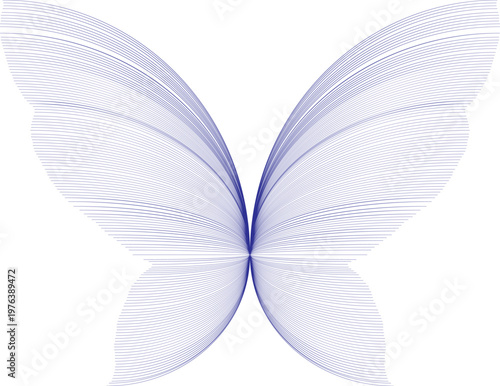 Abstract Blue Line Art Butterfly Wings Design with Symmetric Geometric Patterns Isolated on White Background