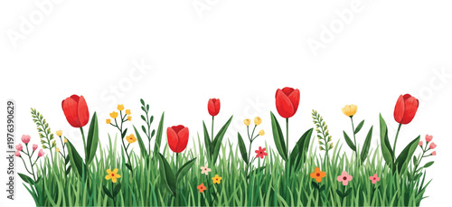 A picturesque border of red tulips and small wildflowers in vibrant green grass on white.