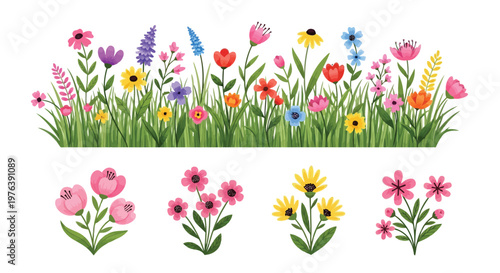 A vibrant border of varied colorful wildflowers and lush green grass sits above four distinct flower bouquets.