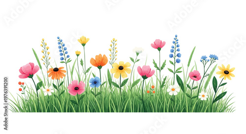 A lush border of vibrant watercolour-style wildflowers and rich green grass creates a beautiful meadow.