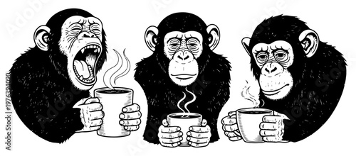 Chimpanzees drinking coffee from mugs with one monkey yawning vintage engraving style