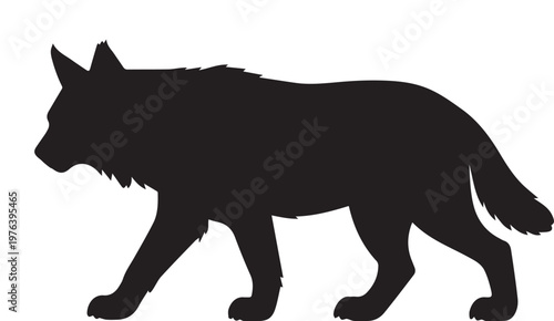 Coyote vector illustration