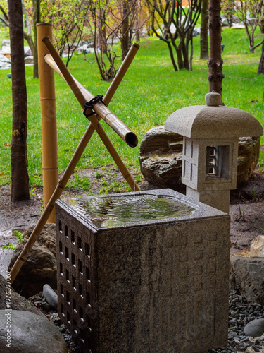 Tsukubai in the Japanese garden
