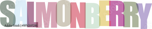 Salmonberry colorful typography on white background