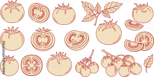 Collection of line art illustrations of ripe tomatoes and tomato leaves in outline style.