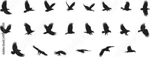 Flying eagle silhouettes set, black bird of prey collection, different wing positions, isolated vector design elements for logo branding