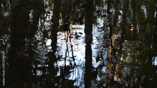 Flowing water in the river dark video background