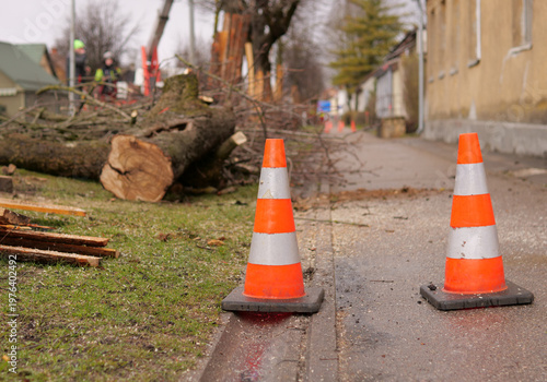 Traffic Cones on Urban Street with Felled Tree and Workers — Tree Removal Road Closure Safety Urban Infrastructure Concept