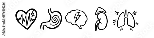 Set of hand-drawn human organ icons representing heart, stomach, brain, kidney, and lungs. Minimalist sketch doodles illustrating health issues, stress, pain, and medical symptoms.