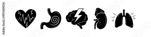 Set of hand-drawn black silhouette icons representing human internal organs: heart, brain, stomach, lungs, and kidney. Ideal for medical, wellness, and educational healthcare designs.