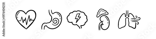 Set of minimalist hand-drawn icons of human organs: heart, stomach, brain, kidney, and lungs. Black line art doodles on white background for medical and healthcare concepts.